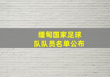 缅甸国家足球队队员名单公布