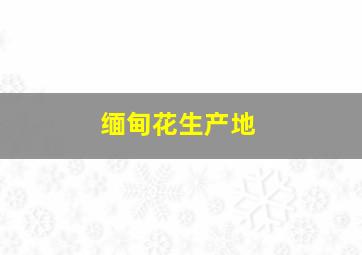 缅甸花生产地