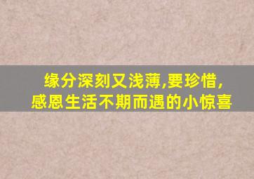 缘分深刻又浅薄,要珍惜,感恩生活不期而遇的小惊喜