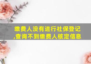 缴费人没有进行社保登记,查询不到缴费人核定信息