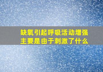 缺氧引起呼吸活动增强主要是由于刺激了什么