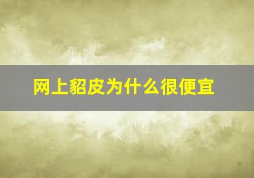 网上貂皮为什么很便宜