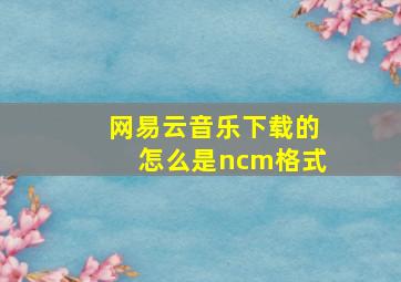 网易云音乐下载的怎么是ncm格式