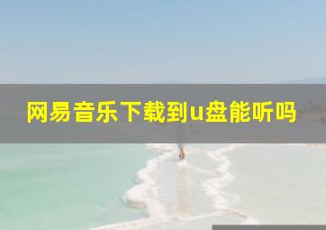 网易音乐下载到u盘能听吗