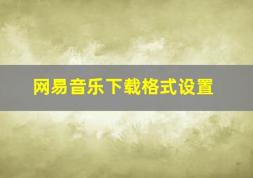 网易音乐下载格式设置