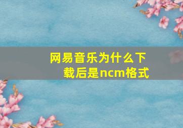 网易音乐为什么下载后是ncm格式