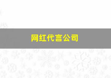 网红代言公司