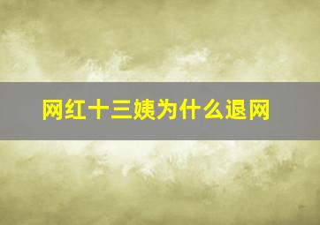 网红十三姨为什么退网