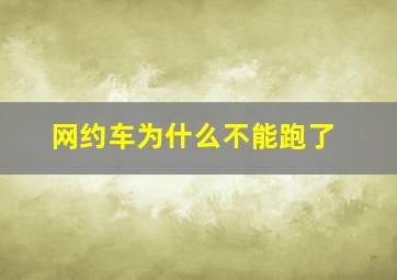 网约车为什么不能跑了