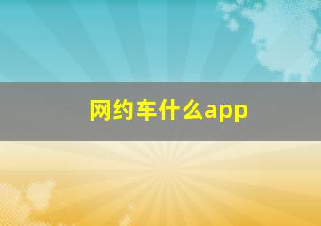 网约车什么app