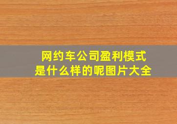 网约车公司盈利模式是什么样的呢图片大全