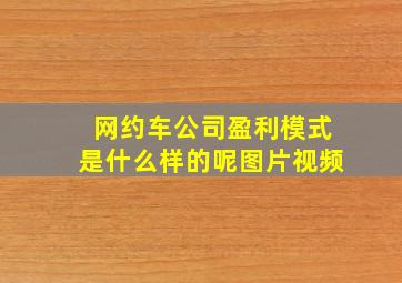 网约车公司盈利模式是什么样的呢图片视频