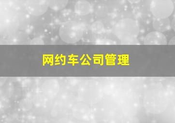 网约车公司管理