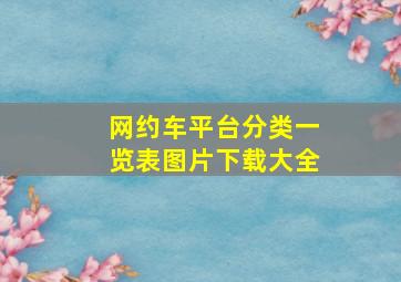 网约车平台分类一览表图片下载大全