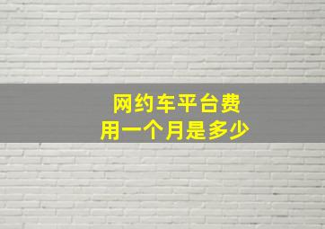 网约车平台费用一个月是多少