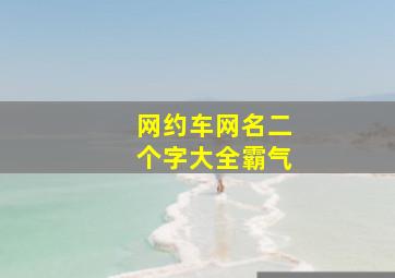 网约车网名二个字大全霸气