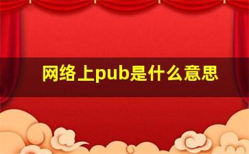 网络上pub是什么意思