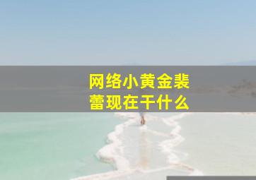 网络小黄金裴蕾现在干什么