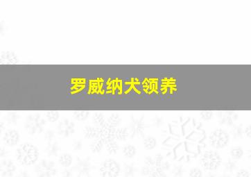 罗威纳犬领养