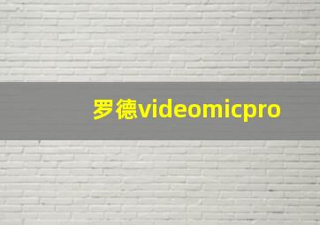 罗德videomicpro