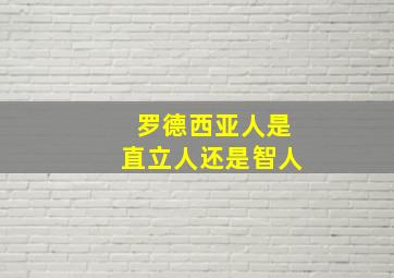 罗德西亚人是直立人还是智人