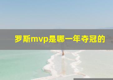 罗斯mvp是哪一年夺冠的