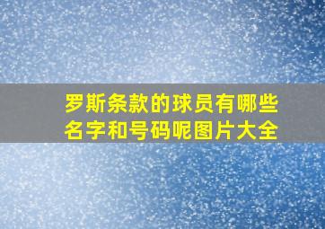 罗斯条款的球员有哪些名字和号码呢图片大全