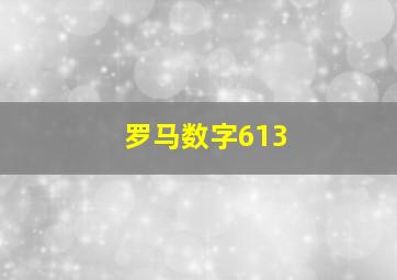 罗马数字613