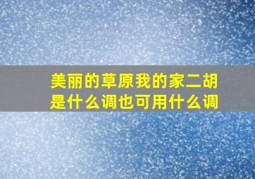 美丽的草原我的家二胡是什么调也可用什么调