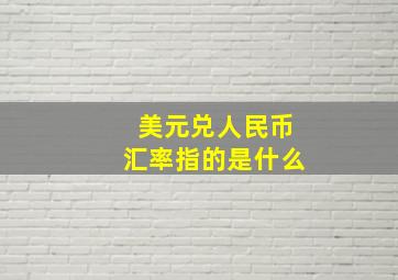 美元兑人民币汇率指的是什么