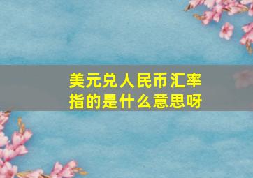 美元兑人民币汇率指的是什么意思呀