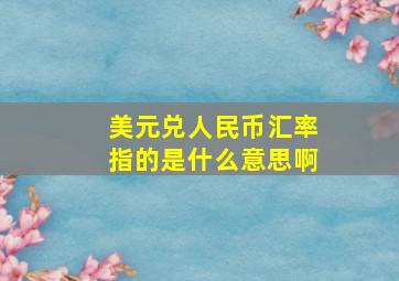 美元兑人民币汇率指的是什么意思啊