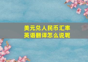 美元兑人民币汇率英语翻译怎么说呢