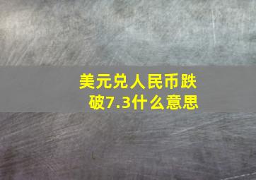 美元兑人民币跌破7.3什么意思