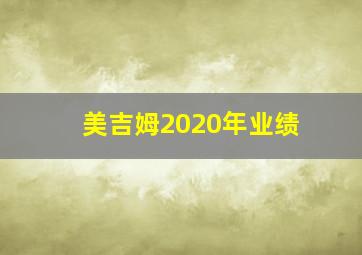 美吉姆2020年业绩