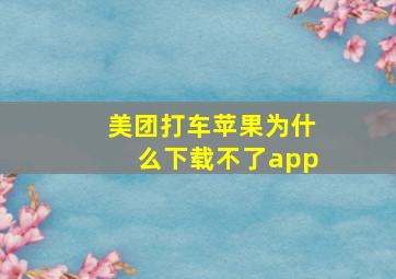 美团打车苹果为什么下载不了app