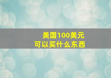 美国100美元可以买什么东西