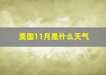 美国11月是什么天气