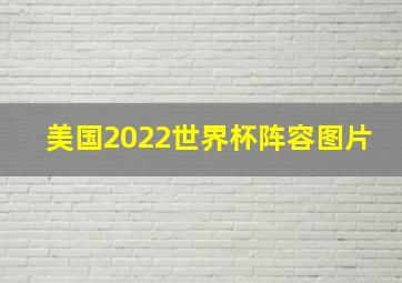 美国2022世界杯阵容图片