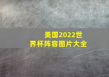 美国2022世界杯阵容图片大全