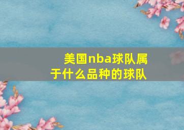 美国nba球队属于什么品种的球队