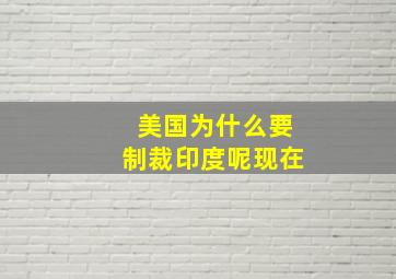 美国为什么要制裁印度呢现在