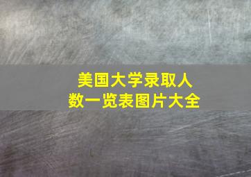 美国大学录取人数一览表图片大全