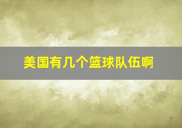 美国有几个篮球队伍啊