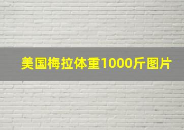 美国梅拉体重1000斤图片