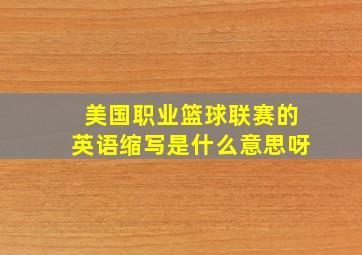 美国职业篮球联赛的英语缩写是什么意思呀