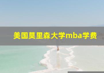 美国莫里森大学mba学费