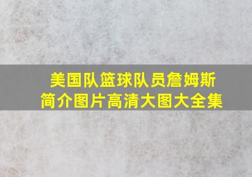 美国队篮球队员詹姆斯简介图片高清大图大全集