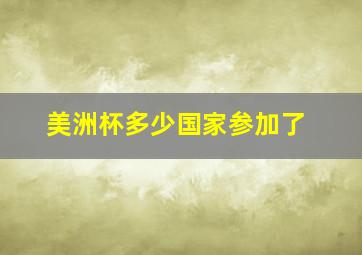 美洲杯多少国家参加了