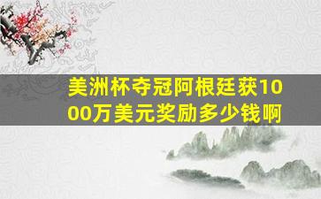 美洲杯夺冠阿根廷获1000万美元奖励多少钱啊